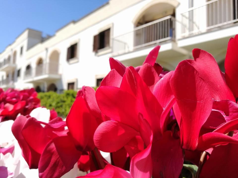 Villaggio Catalano 카스텔라네타 마리나 외부 사진